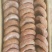 柿饼2.5两以上