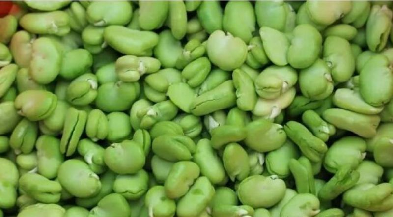 蚕豆蚕豆米