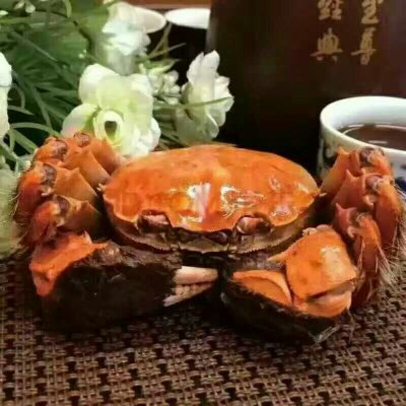 兴化大闸蟹食用2.0-2.2两/只雌