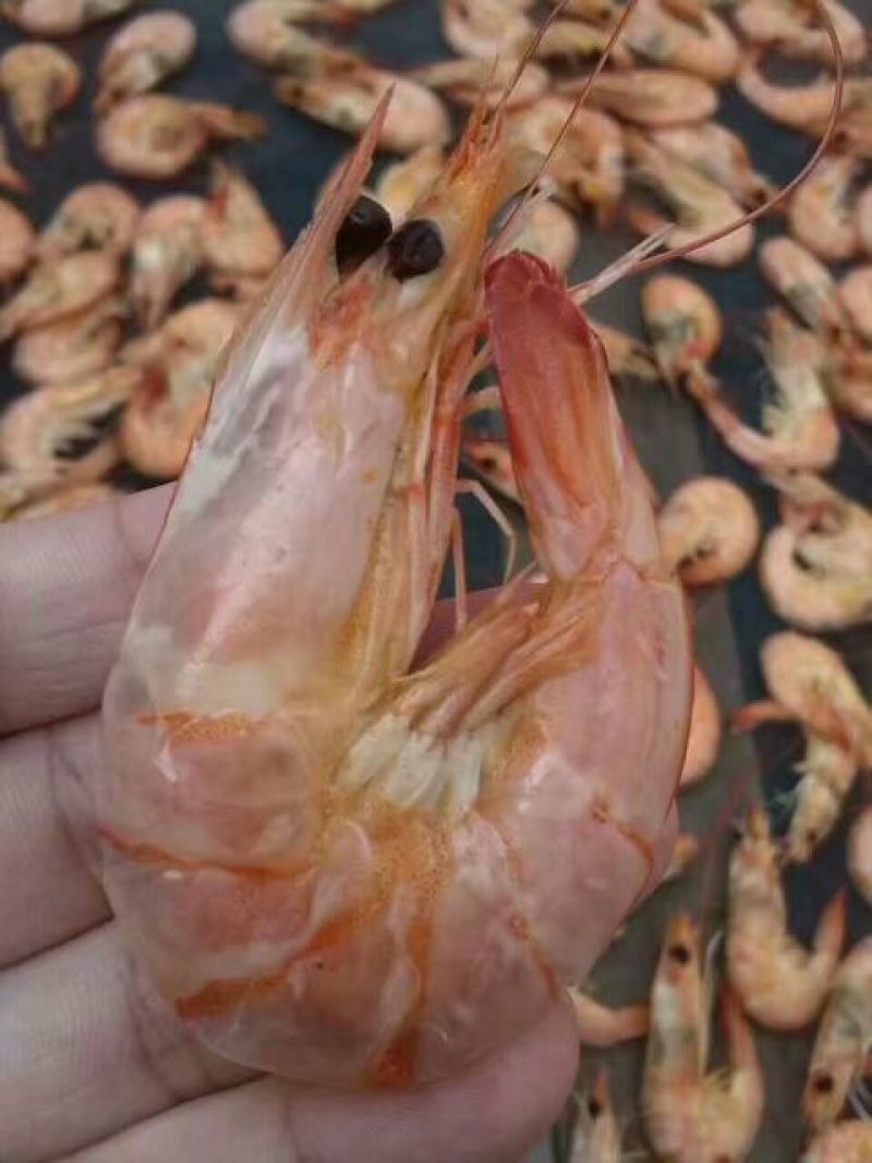 虾干一级