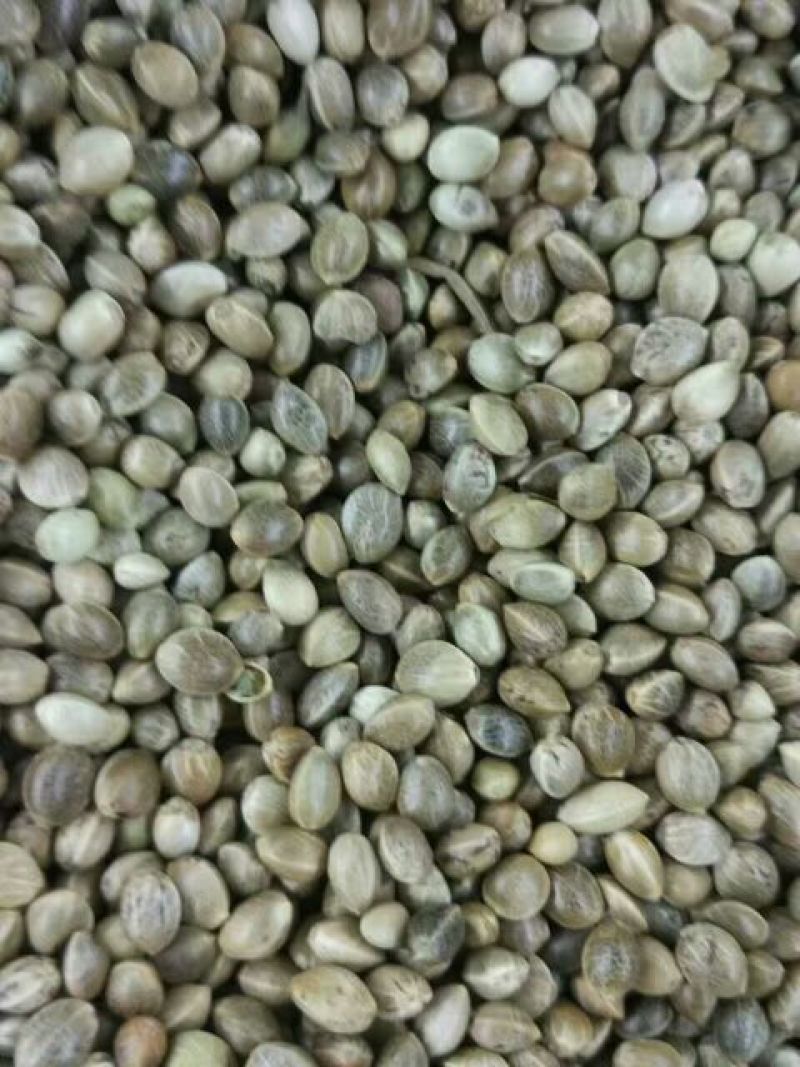 火麻仁