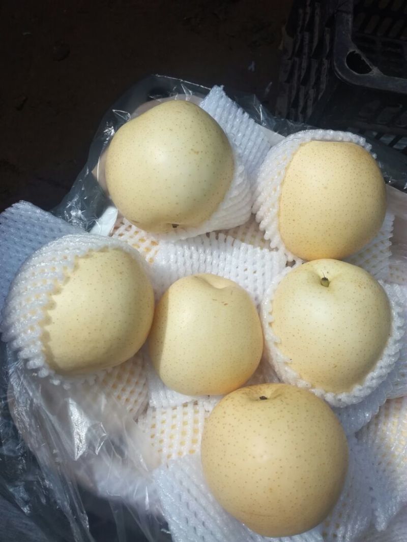 皇冠梨300~350g筐装