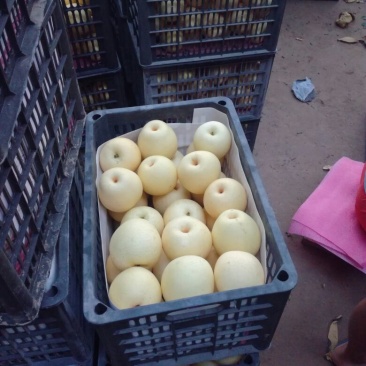 皇冠梨300~350g筐装