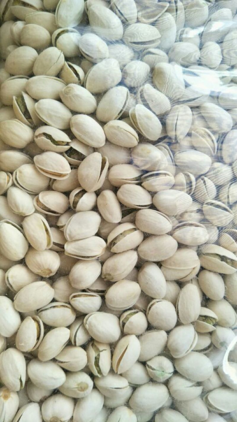 开心果2级