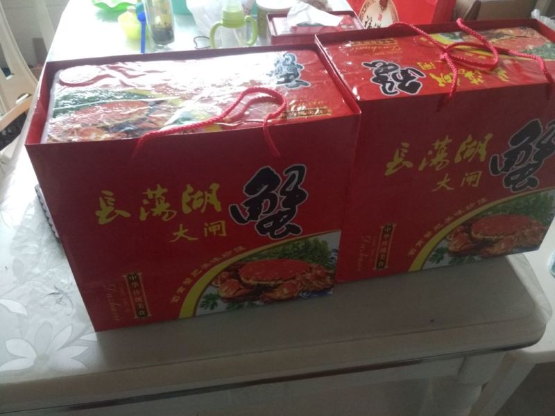 河蟹长荡湖公5两母蟹