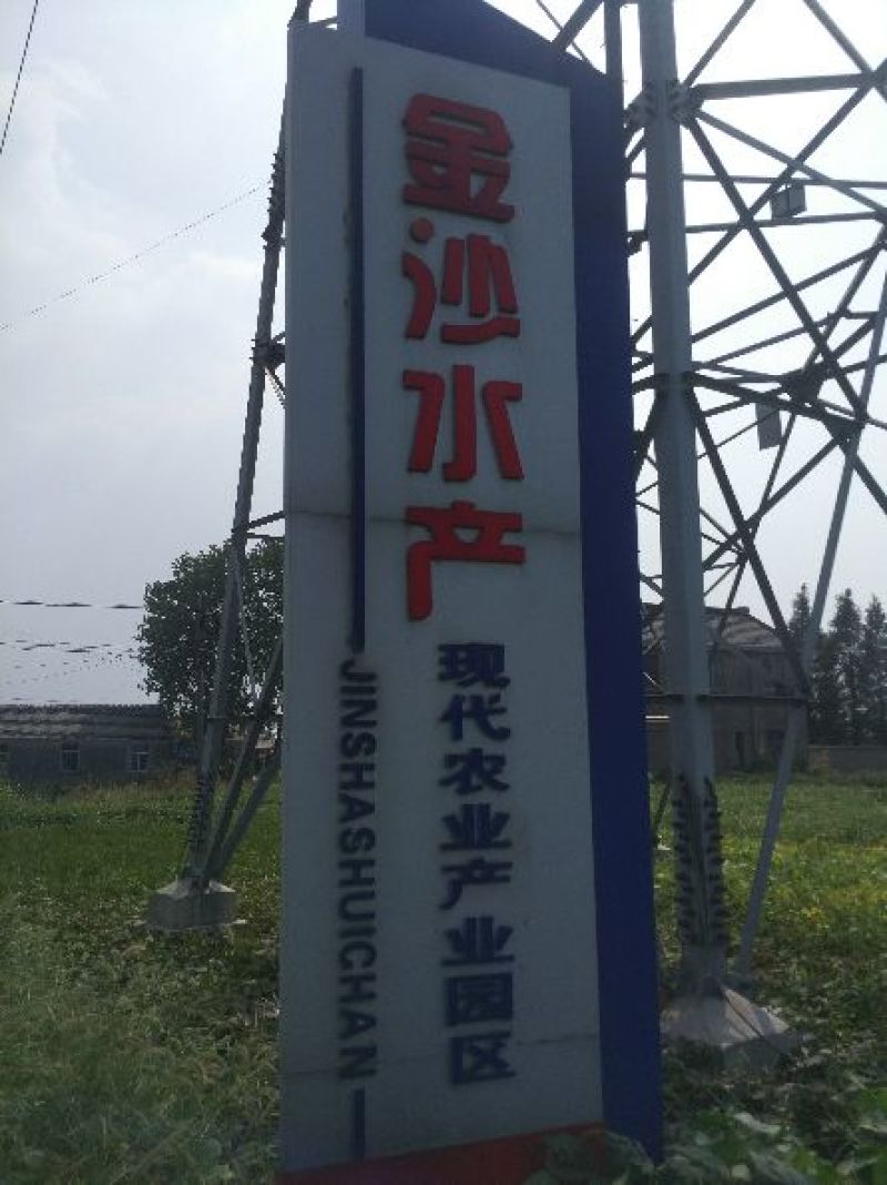 河蟹长荡湖公5两母蟹