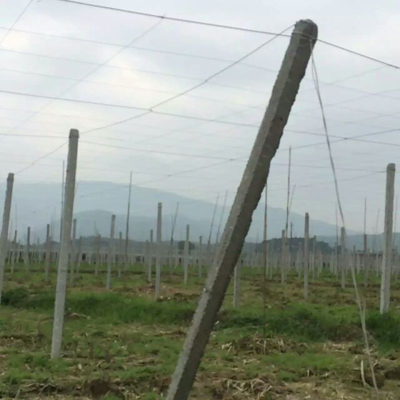 铝包钢