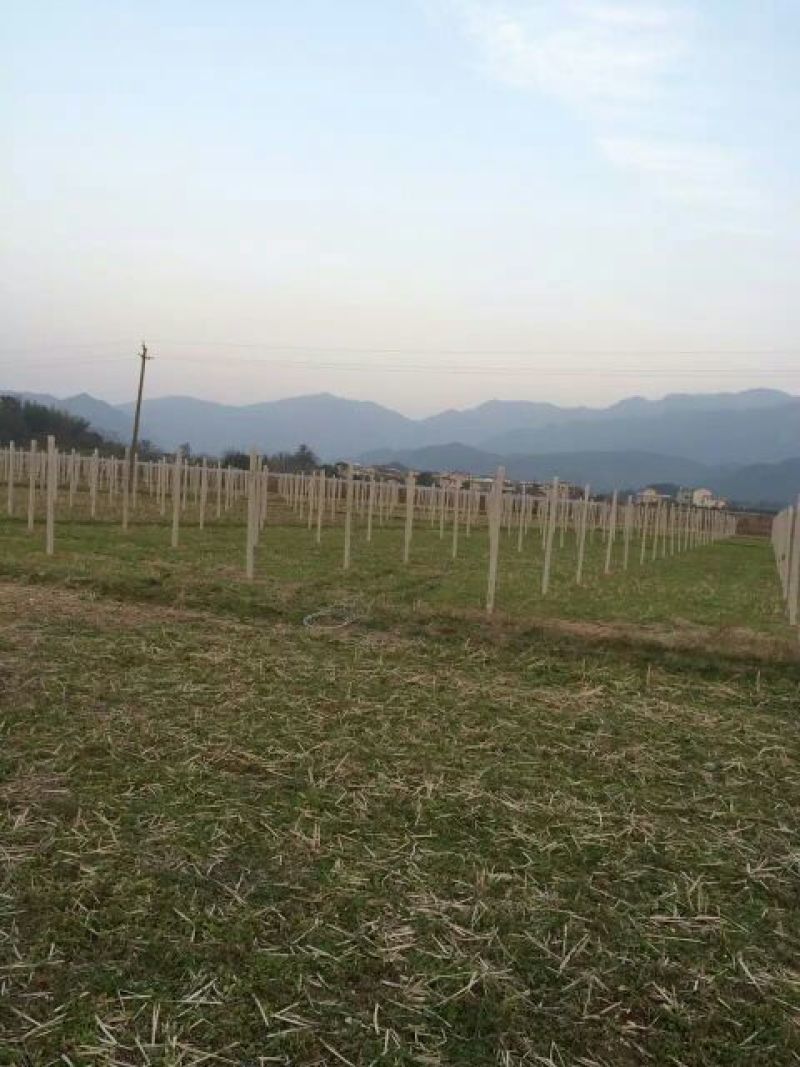 铝包钢