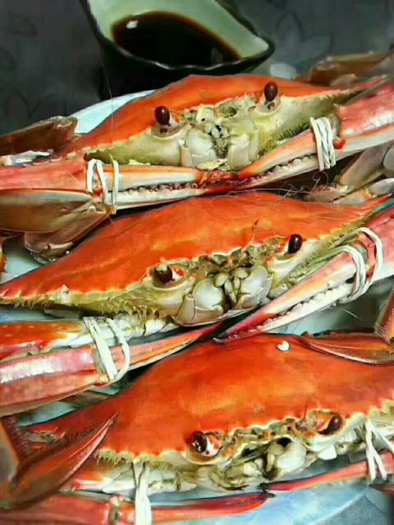 疣状梭子蟹食用