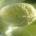 娃娃菜7~10两以上