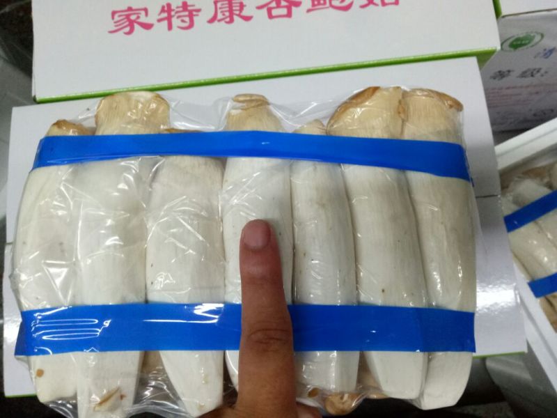 杏鲍菇特级