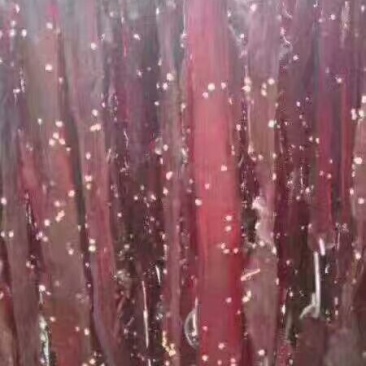 牛肉干牦牛肉鲜肉