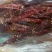 牛肉干牦牛肉鲜肉