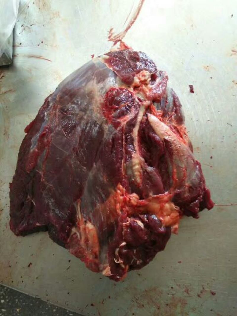 马肉冷冻