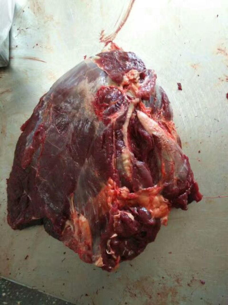 马肉冷冻