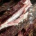 牛肉干牦牛肉鲜肉