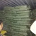 螺丝肉—螺蛳肉—干净无沙—可供工厂—量大的老板来