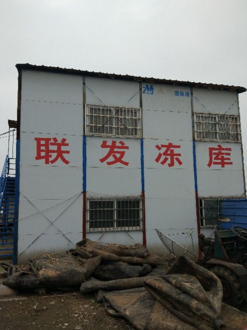 螺丝肉—螺蛳肉—干净无沙—可供工厂—量大的老板来