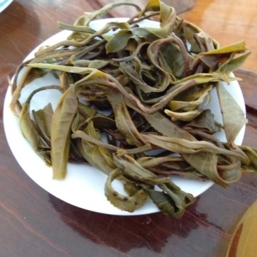普洱茶一级