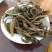 普洱茶一级