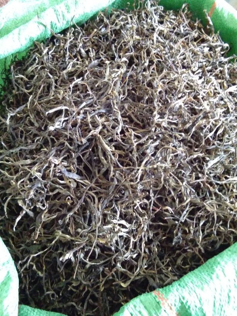 普洱茶一级