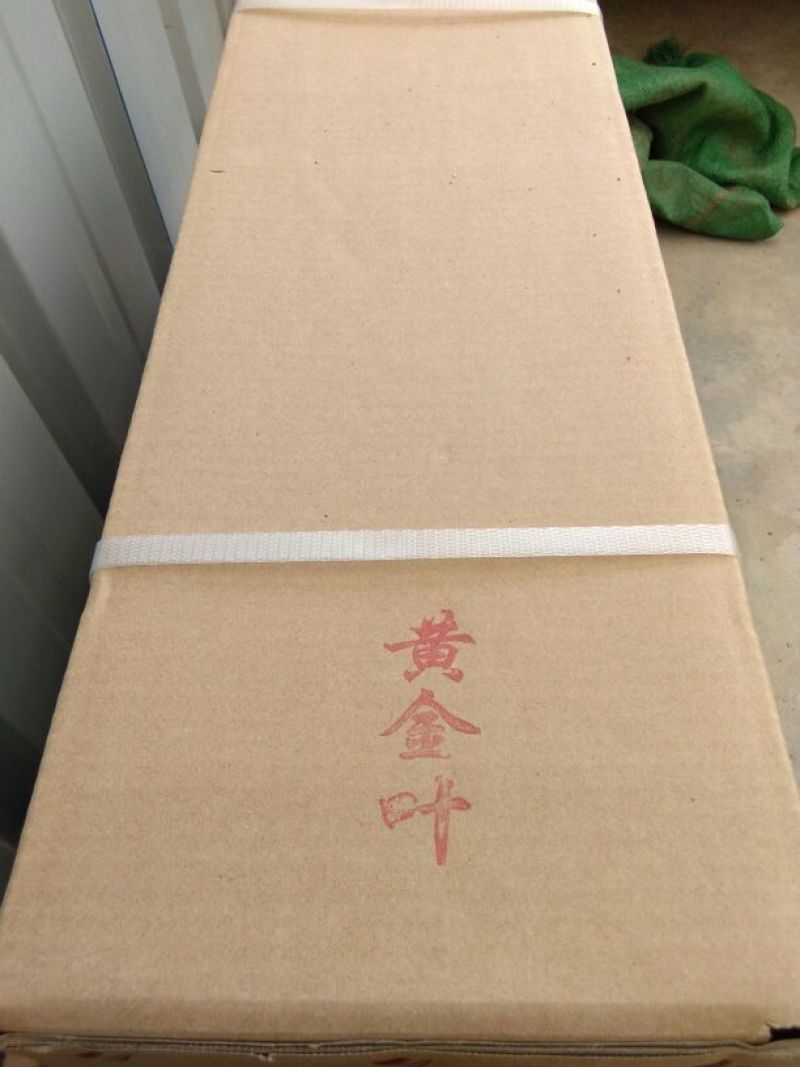 普洱茶一级