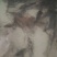 黄河鲤1~2公斤食用