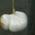 凉薯500~1000g