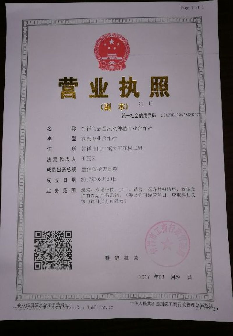 凉薯500~1000g