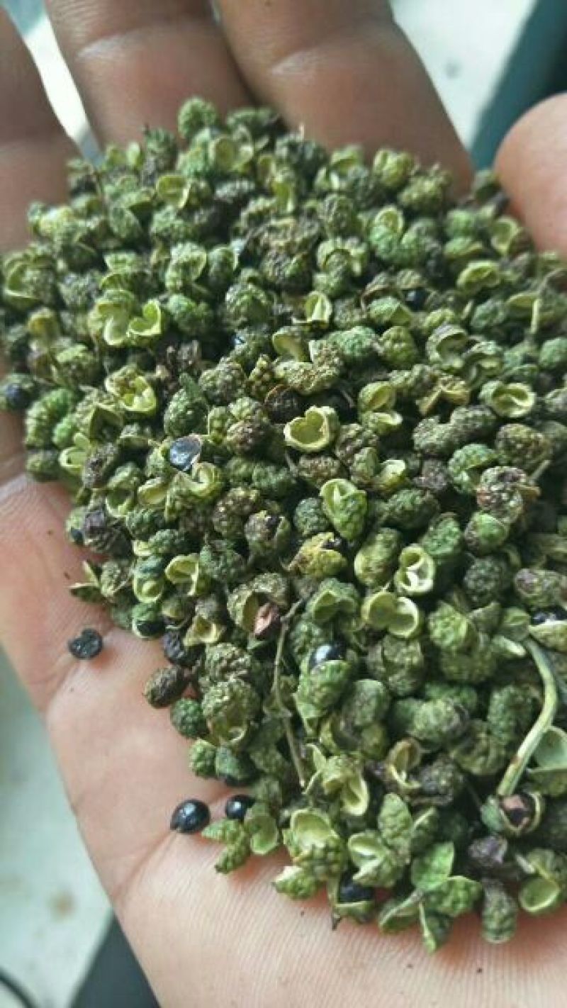 青花椒特级干