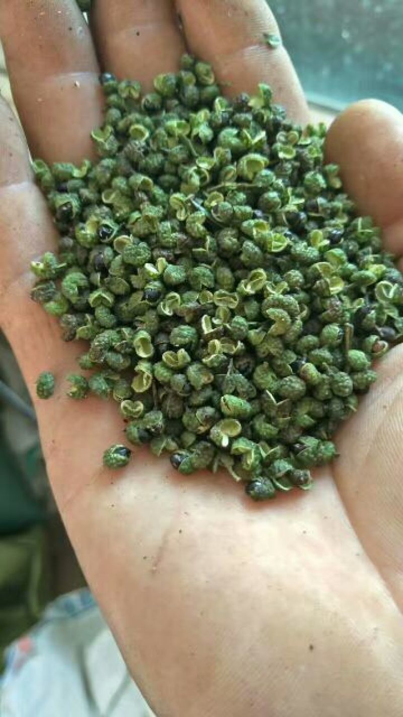 青花椒特级干