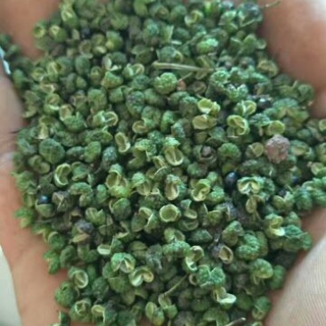 青花椒特级干