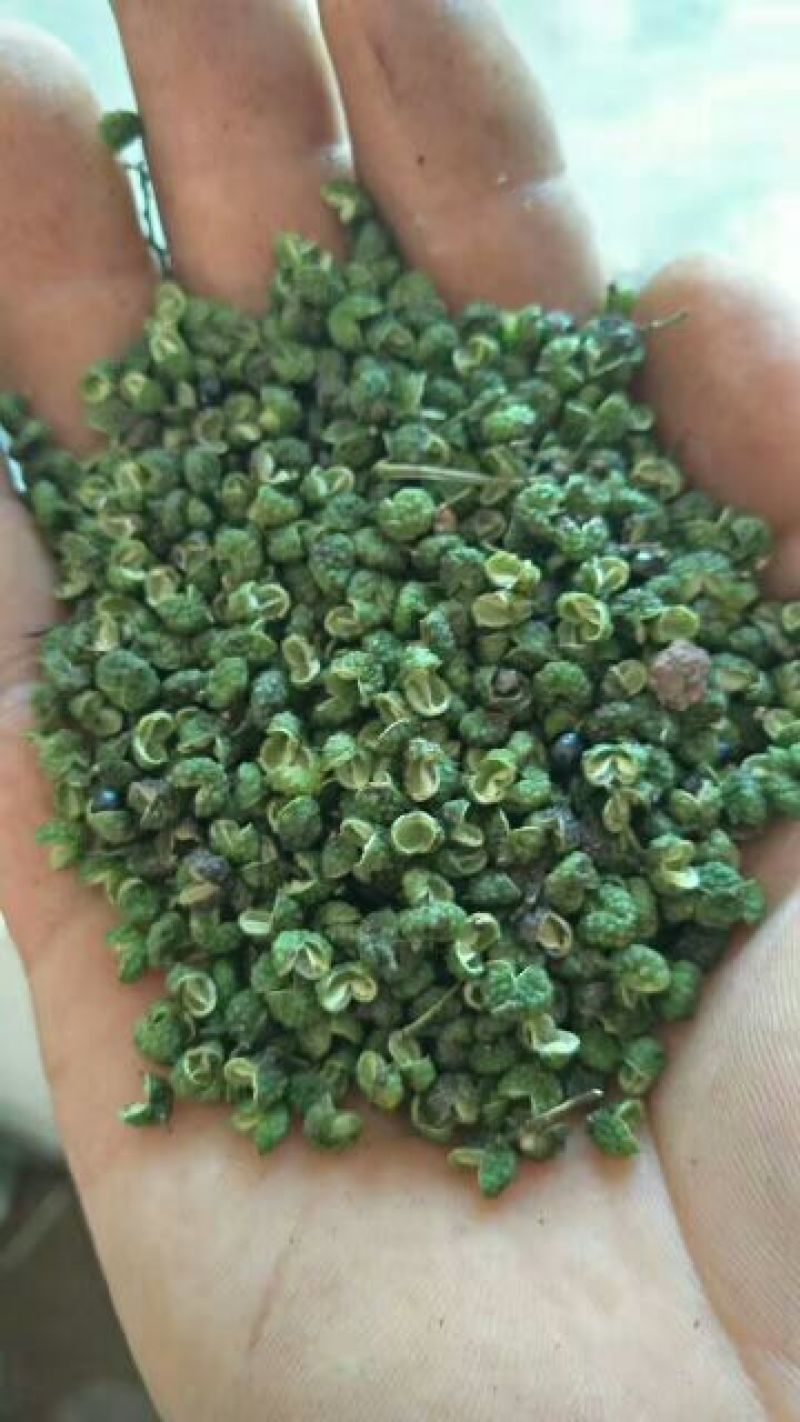 青花椒特级干
