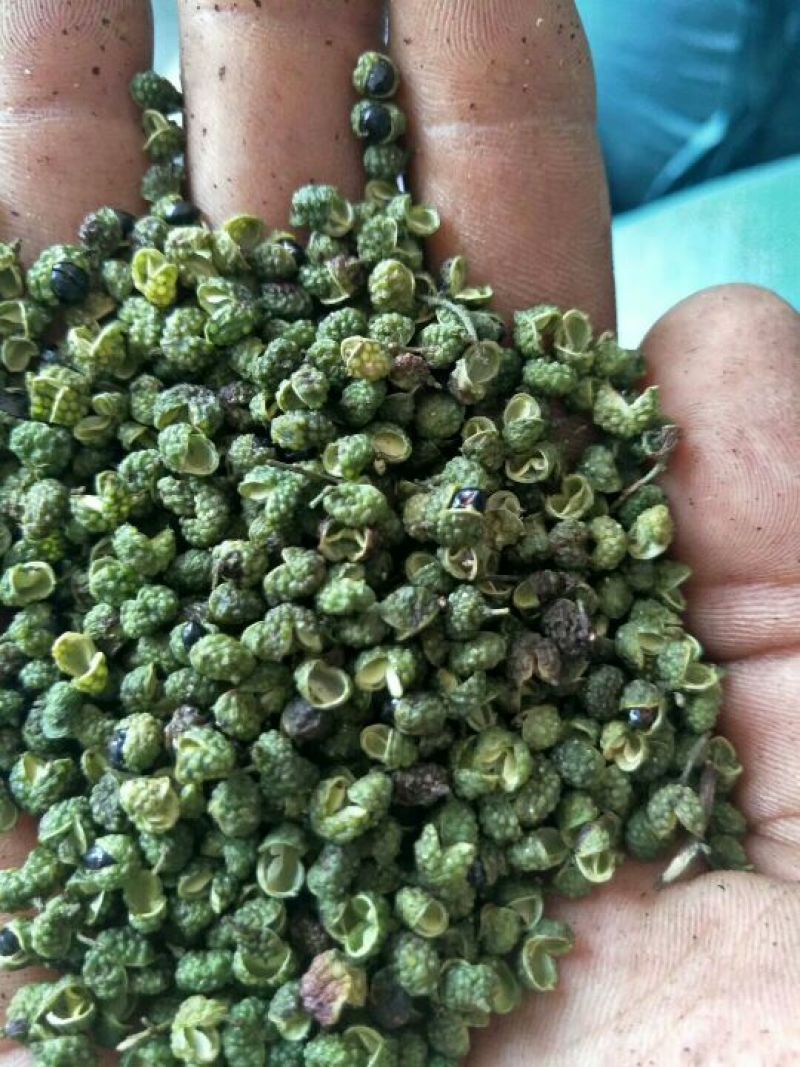 青花椒特级干