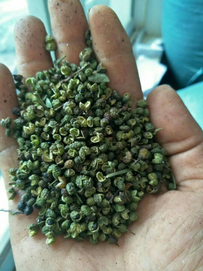 青花椒特级干