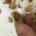 巴旦木散装