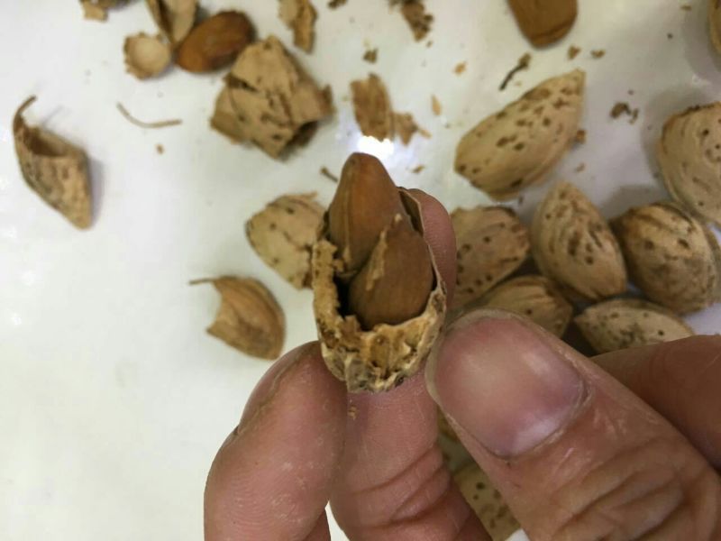 巴旦木散装