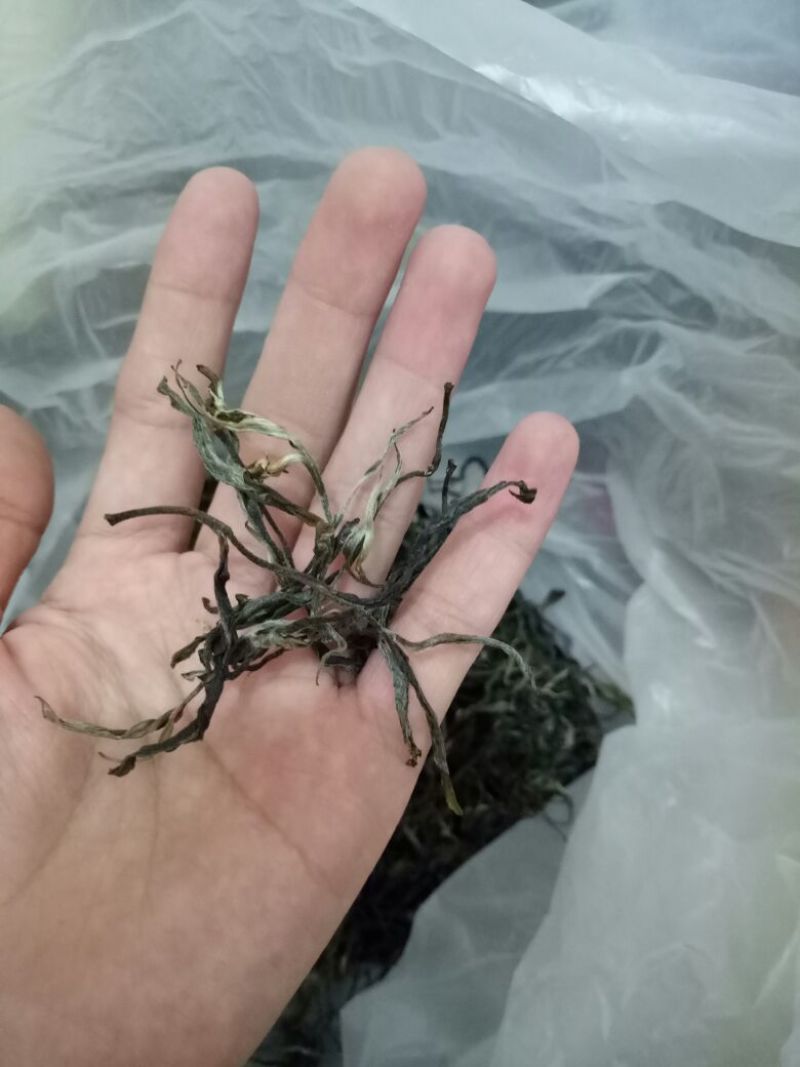 普洱茶三级