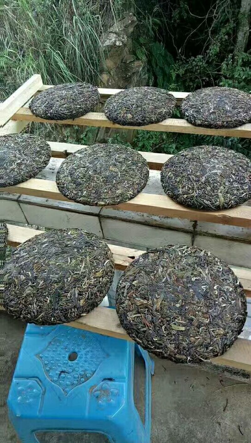 普洱茶三级
