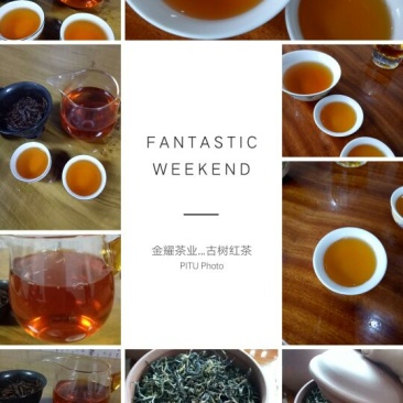 普洱茶二级