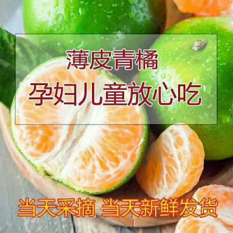 精品蜜橘、小叶桔产地批发无需加工看货采货爽口化渣口感纯甜