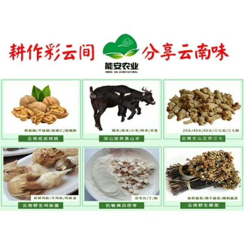 云南薄皮核桃去皮30mm以上干货产地直供
