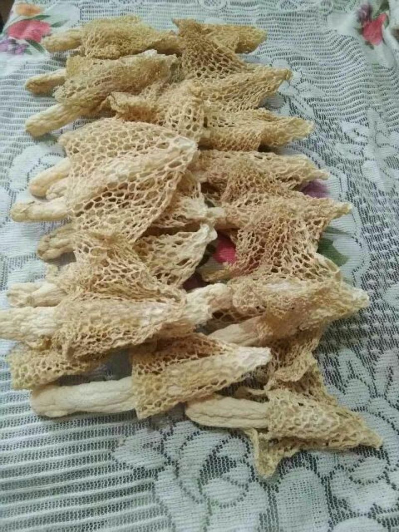 长裙竹荪一级