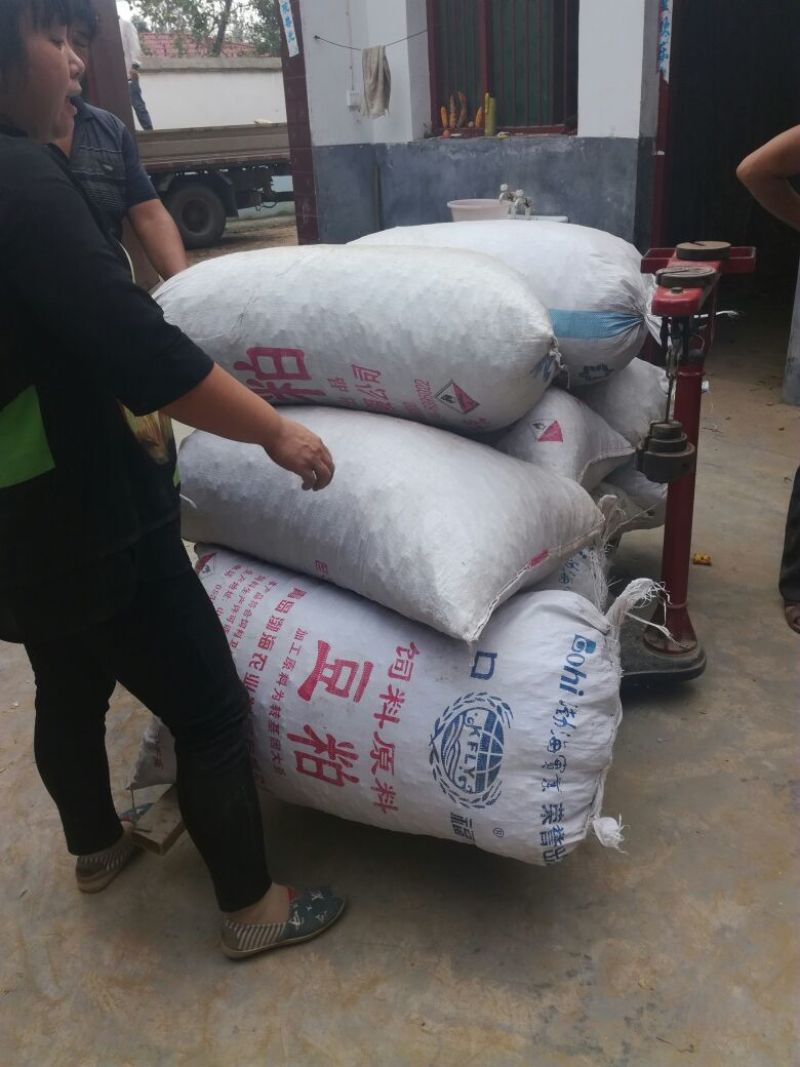 大粒干花生，大小白沙果，一手货源价格实惠颗粒饱满
