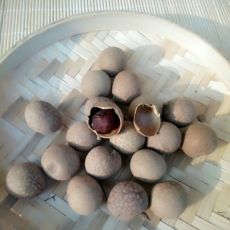 莆田桂圆干6a特级货，新鲜肉厚