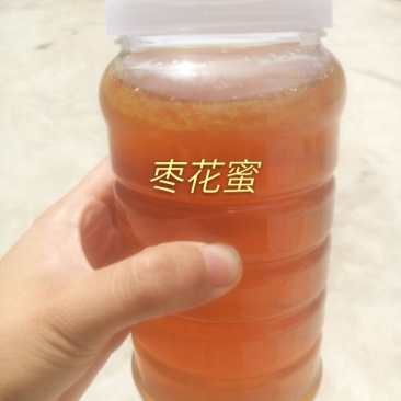 枣花蜜2斤