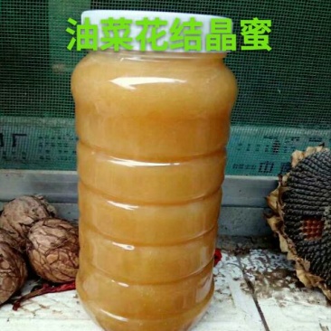 油菜蜜2斤