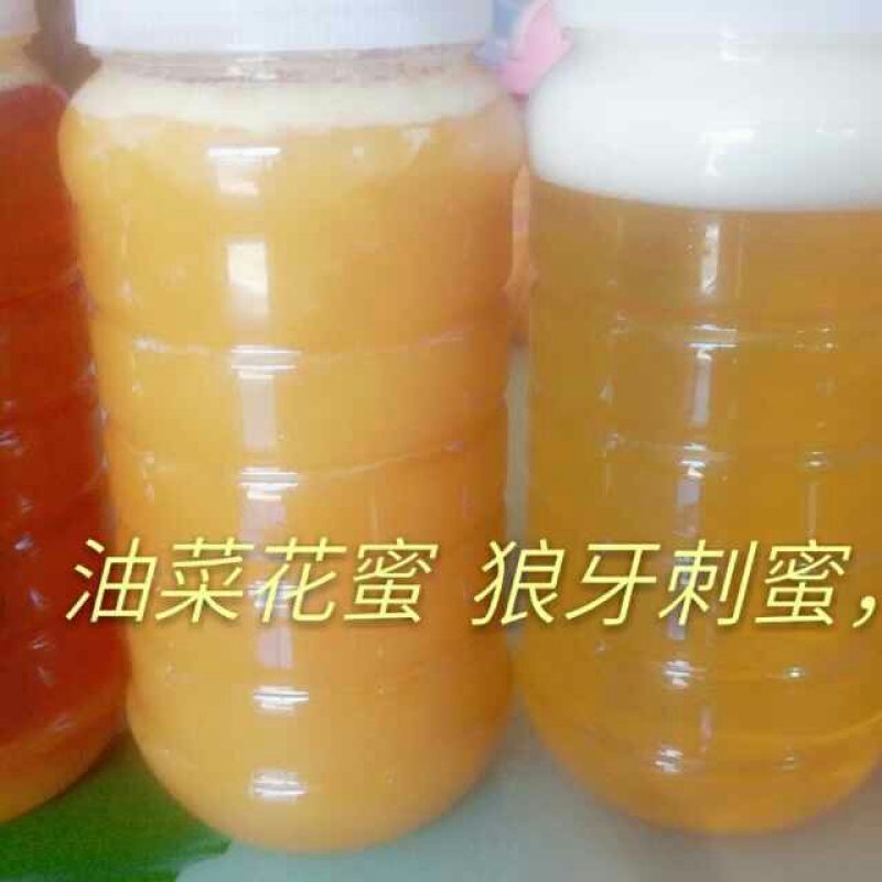 油菜蜜2斤