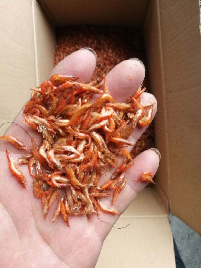 红虾干