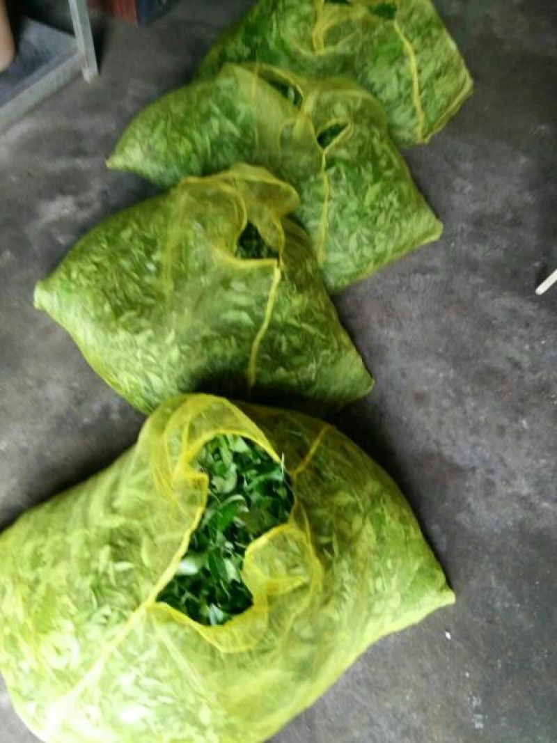 岩茶一级